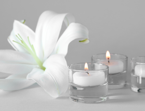 15 | Axis Estate Planning Attorneys, PLLC