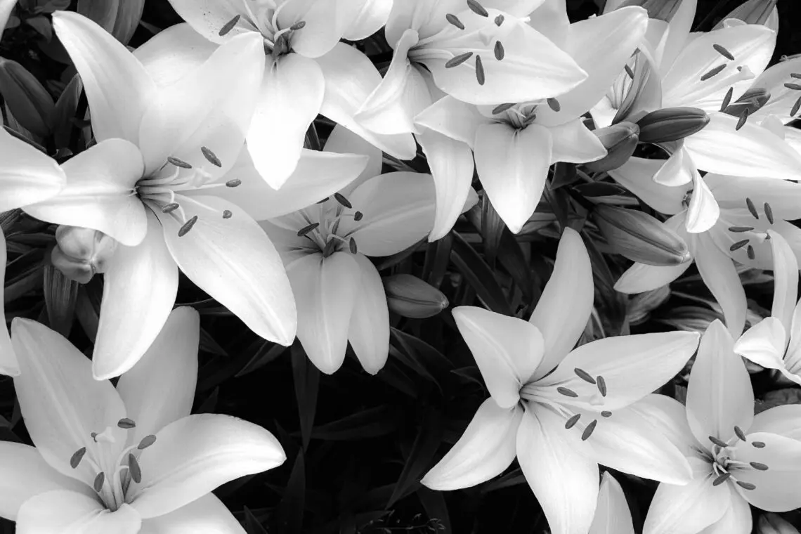 A | Axis Estate Planning Attorneys, PLLC