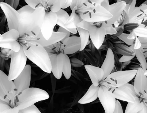 A | Axis Estate Planning Attorneys, PLLC